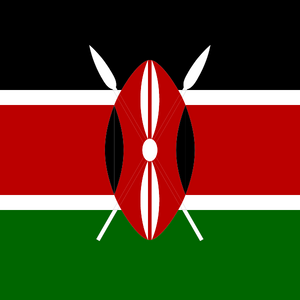 Kenya Provider-Payer Engagement Policy Brief