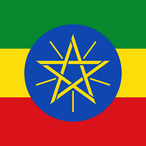 Advancing Strategic Health Purchasing in Ethiopia