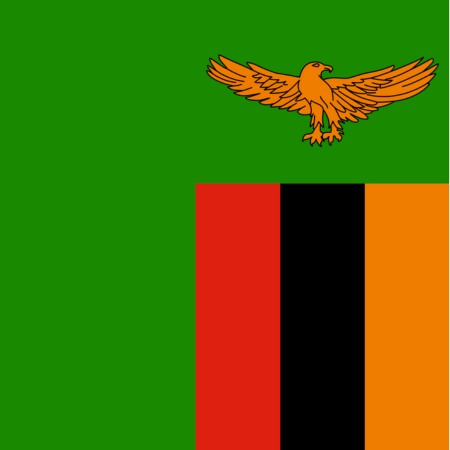 Advancing Strategic Health Purchasing in Zambia’s Decentralized Health System: Progress, Gaps and Opportunities