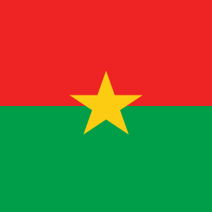 Knowledge and Perceptions of Health System Actors on Equity, Efficiency, and Transparency in the Allocation of Financial Resources to Public Health Facilities in Burkina Faso