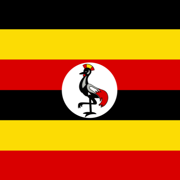 Accountability and Strategic Health Purchasing in Uganda: Implications for Primary Health Care Implementation